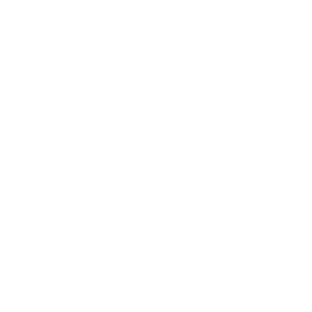 I N E R T I A 